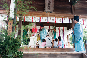 津島神社・サブ1